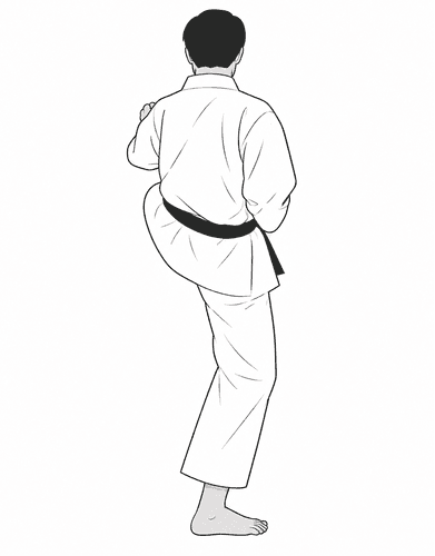 16-A - mae-geri